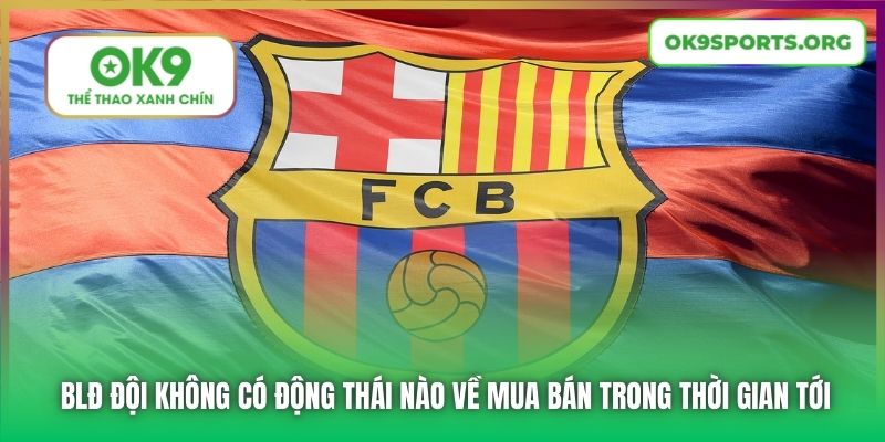 BLĐ đội không có động thái nào về mua bán trong thời gian tới