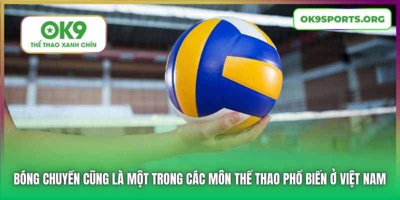 Bóng chuyền cũng là một trong các môn thể thao phổ biến ở Việt Nam