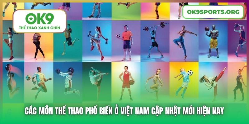 Các môn thể thao phổ biến ở Việt Nam cập nhật mới hiện nay