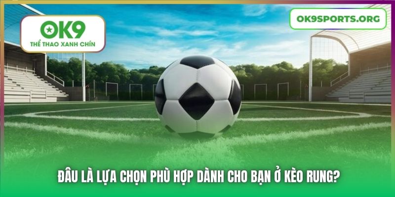 Đâu là lựa chọn phù hợp dành cho bạn ở kèo rung?