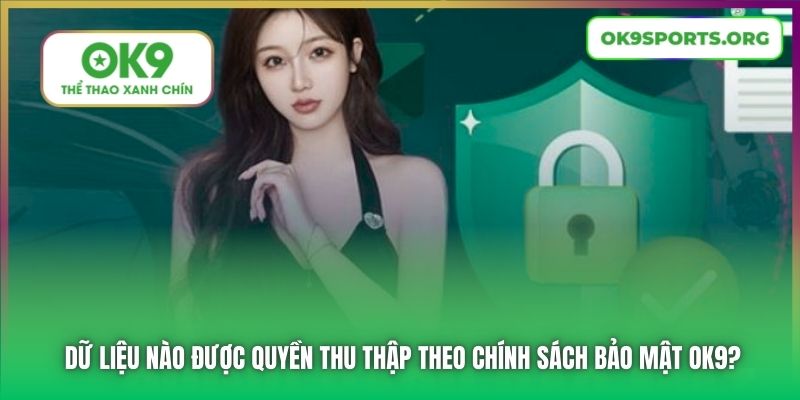 Dữ liệu nào được quyền thu thập theo Chính sách Bảo mật OK9?