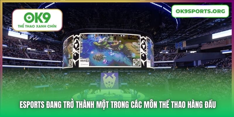 Esports đang trở thành một trong các môn thể thao hàng đầu