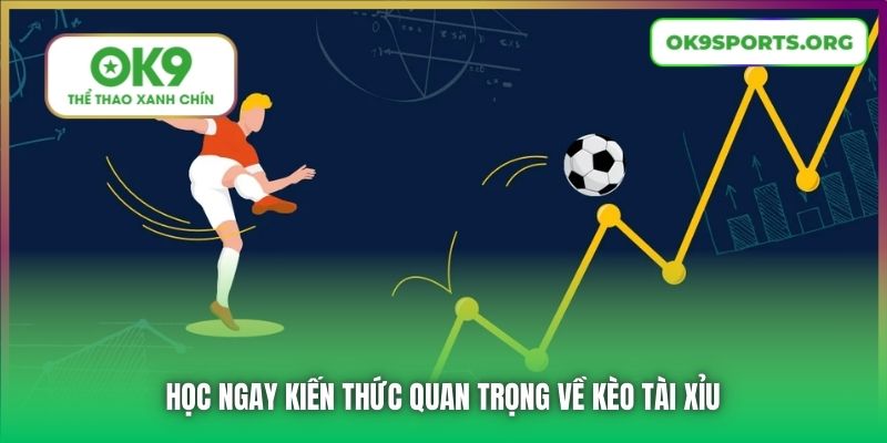 Học ngay kiến thức quan trọng về kèo Tài Xỉu