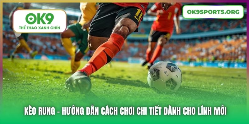 Kèo Rung | Hướng Dẫn Cách Chơi Chi Tiết Dành Cho Lính Mới