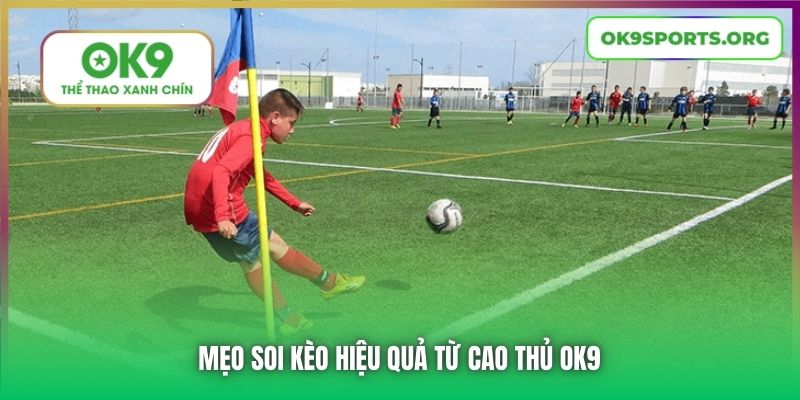 Mẹo soi kèo hiệu quả từ cao thủ OK9