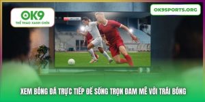 Xem Bóng Đá Trực Tiếp Để Sống Trọn Đam Mê Với Trái Bóng